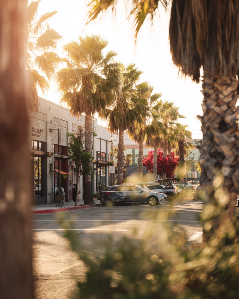 Culver City Los Angeles street with palm trees